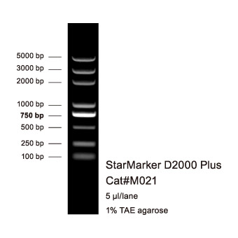 StarMarker D2000 Plus