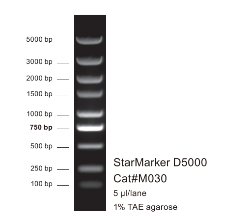 StarMarker D5000